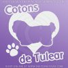 I Love Cotons de Tulear Decal