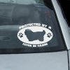Funny Coton de Tulear Decal
