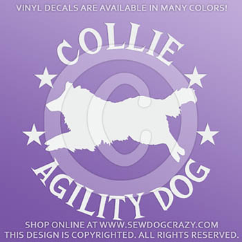 Collie Agility Vinyl Stickers