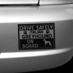 Italian Greyhound On Board Stickers
