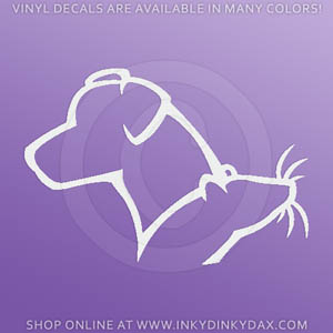 Jack Russell Terrier Rat Decal