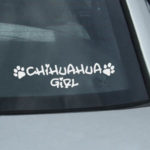 Chihuahua Girl Decals