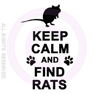 Keep Calm and Find Rats Apparel