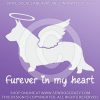 Angel Cardigan Welsh Corgi Vinyl Decals