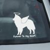 Angel Belgian Sheepdog Decal