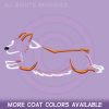 Corgi With Tail Shirts