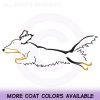 Longhaired Dachshund Agility Shirts