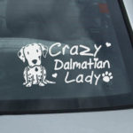 Crazy Dalmatian Lady Decal