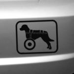 Handicapped Dog Sticker