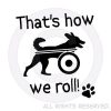 Amputee dog apparel