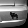 Angel Schipperke Bumper Stickers
