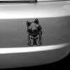 Cartoon Shiba Inu Bumper Stickers