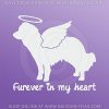 Angel Kooikerhondje Sticker