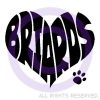 Briard Shirts