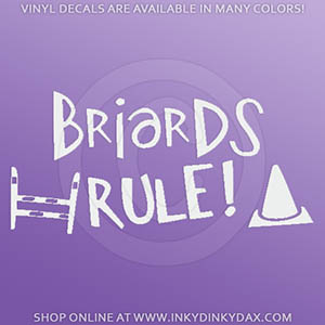 Briards Rule Sticker