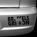 Brussels Griffon Car Stickers