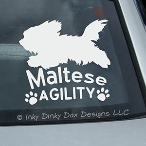 Maltese Agility Sticker
