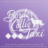 Border Collie Taxi Decal - Image 2
