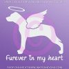 Angel Catahoula Sticker