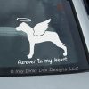 Angel Catahoula Decal