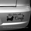 Pretty Corgi Car Sticker