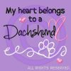 Cute Dachshund Shirts