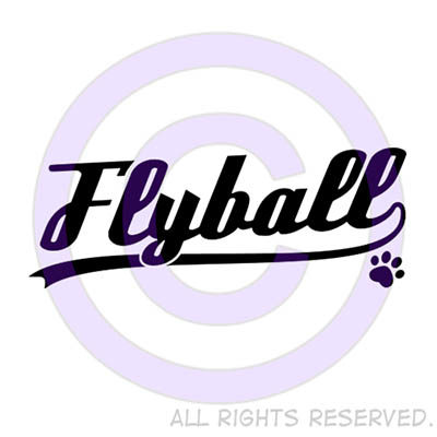 Flyball Shirts