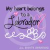 Labrador Retriever Shirts