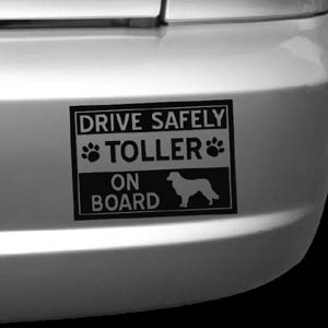 NSDTR Toller Window Decal