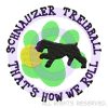 Schnauzer Treibball Shirts