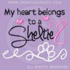 Pretty Embroidered Sheltie Shirts