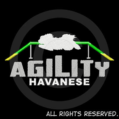 Havanese Agility Shirts