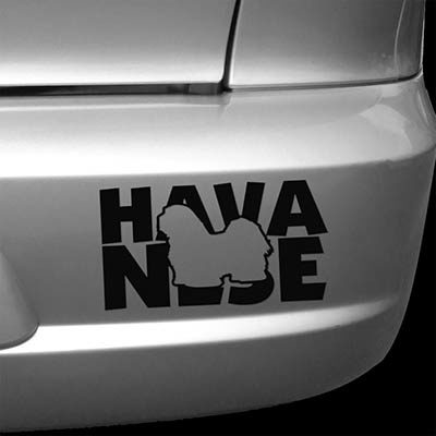 Havanese Car Stickers