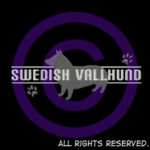 Embroidered Swedish Vallhund Shirts