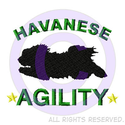 Havanese Agility Shirts