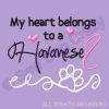 Embroidered Havanese Shirts