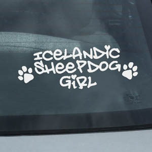 Icelandic Sheepdog Car Window Decal