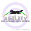 NSDTR Agility Shirts