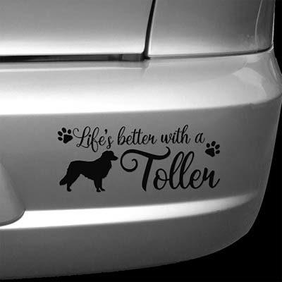 Toller Car Stickers