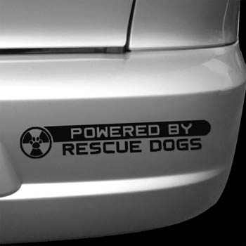 Rescue Dog Car Decals