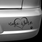 Love Nose Work Decal