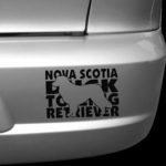 NSDTR Car window Sticker