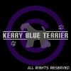 Embroidered Kerry Blue Terrier Shirts