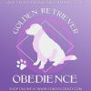 Custom Golden Retriever Obedience Car Window Decal