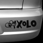 Love My Xolo Car Decal