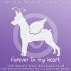 Angel Min Pin Decal