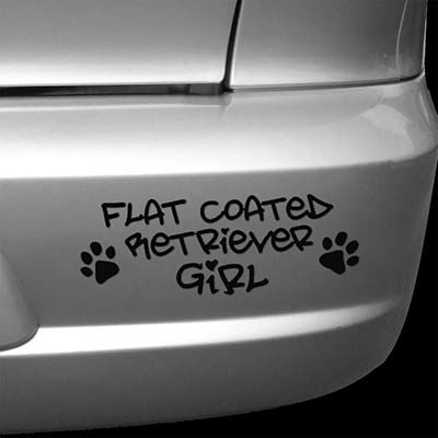 Flat Coated Retriever Girl Car Sticker