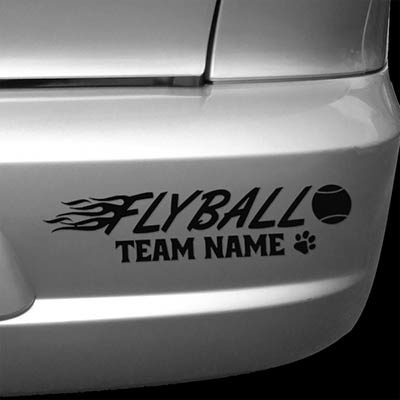 Custom Flyball car stickers