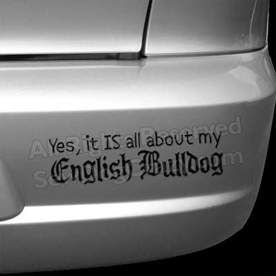 Funny English Bulldog Car Decals