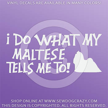 Funny Maltese Vinyl Sticker